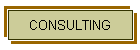 CONSULTING