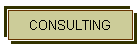 CONSULTING